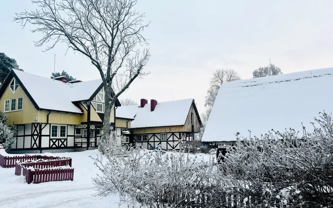 Jolitos Urnikytės impresija individualioje kūrybinėje rezidencijoje