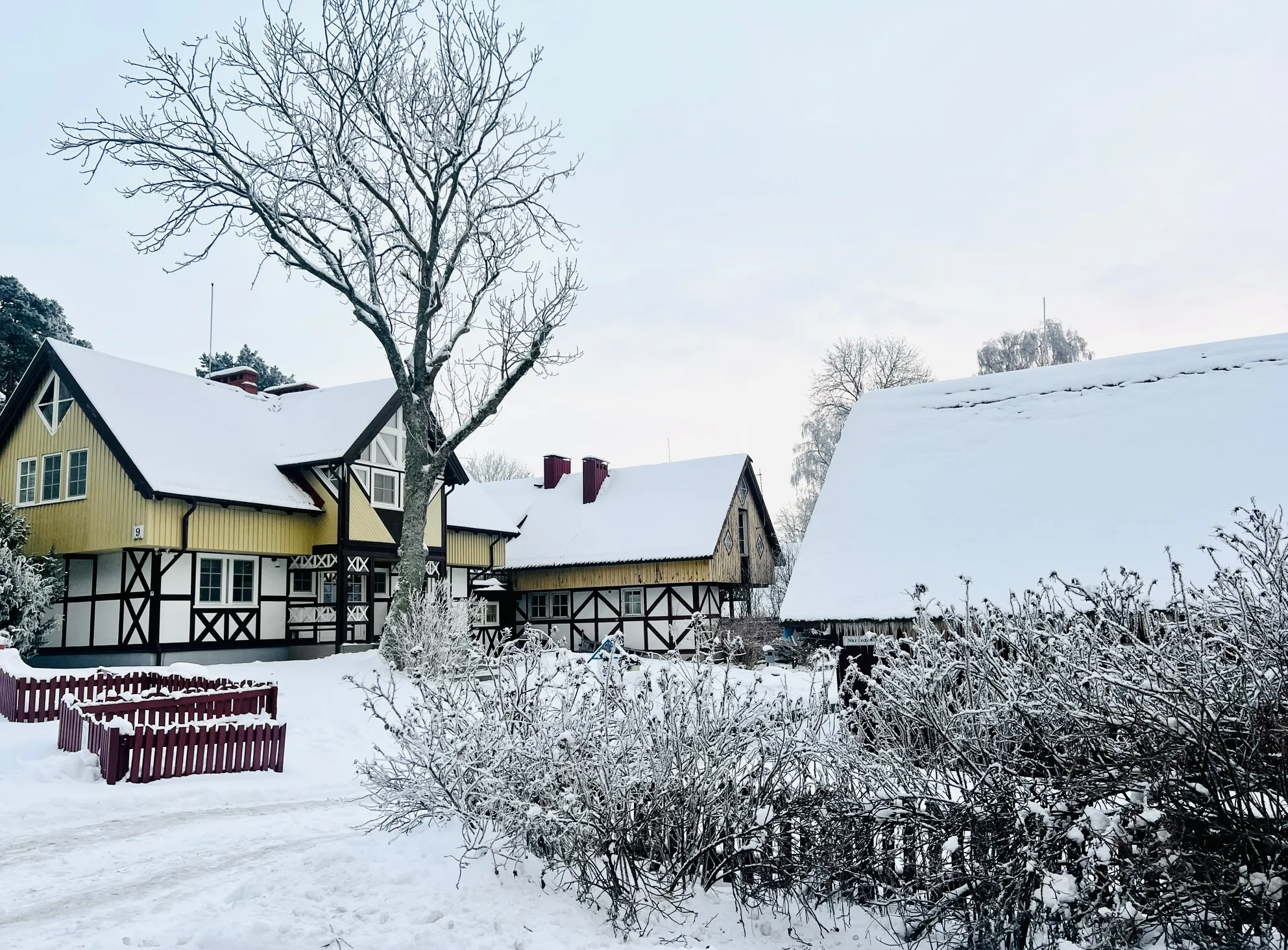 TVRC Nida žiemą TVRC Nida žiemą