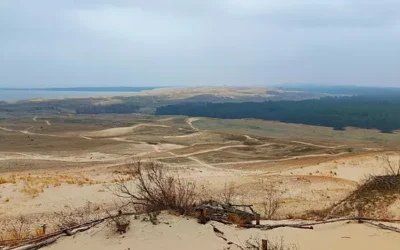 Kvietimas rezidencijai Klaipėdos ir Kuršių nerijos regione