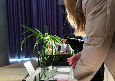 Muzikiniai atvirlaiškiai iš Kuršių nerijos